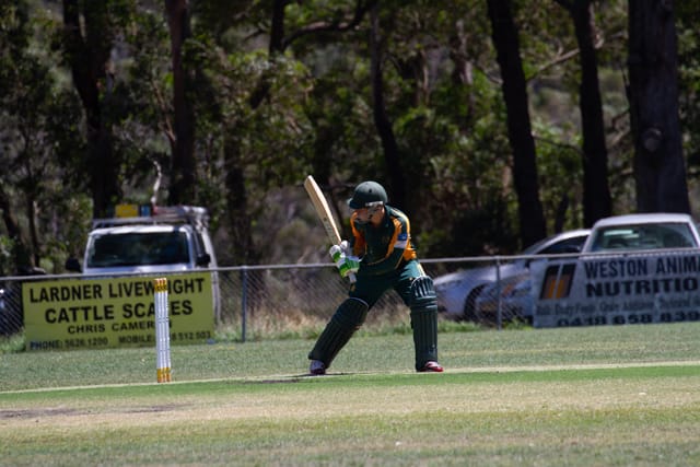Cricket Div 1 Hallora Vs. Western Park 12.02.2022