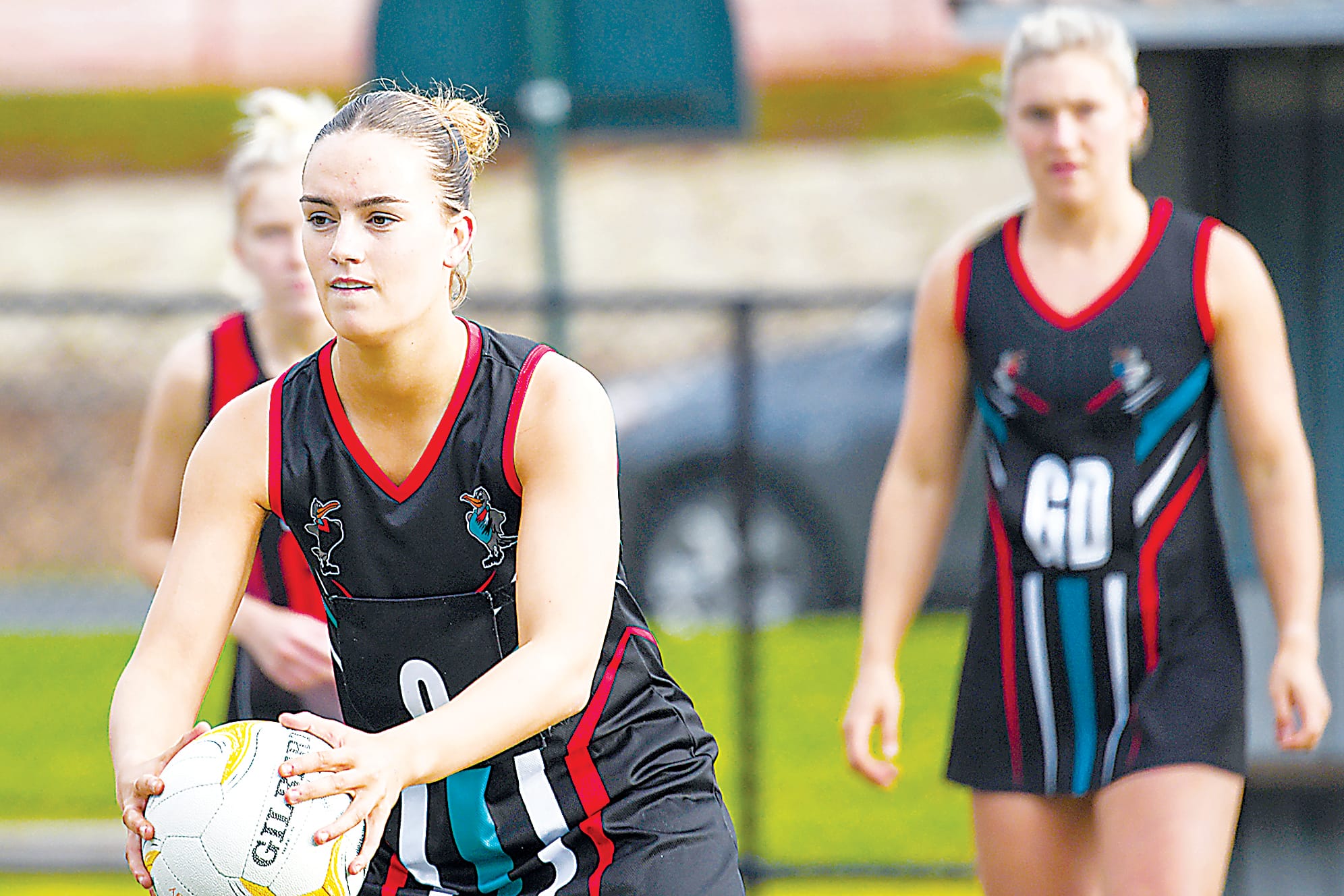 Midcourt impress in Gulls win