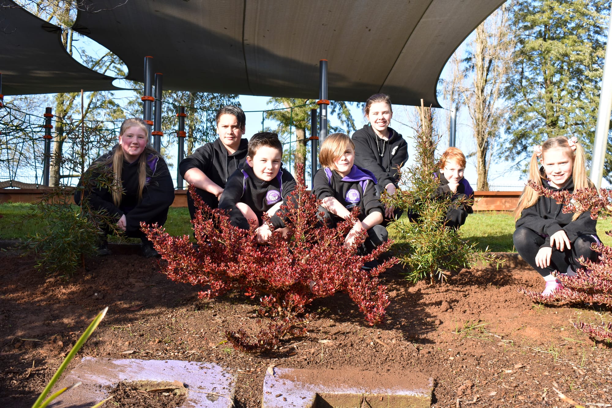 Students have green touch