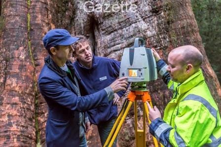 Giant about to arrive