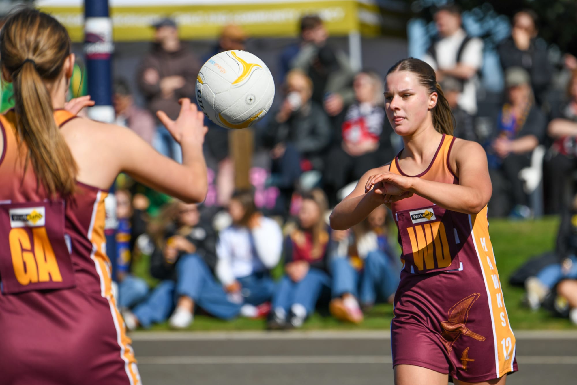 Hawks still in hunt for three flags