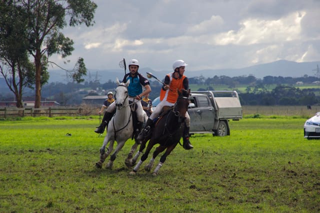 Trafalgar Polox - 2021 