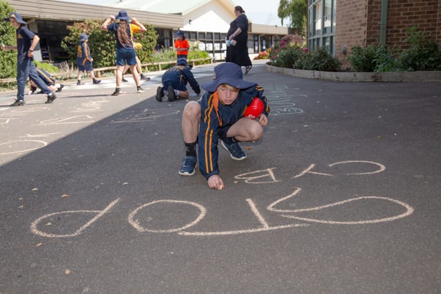 Warragul Nth Primary School Activities 