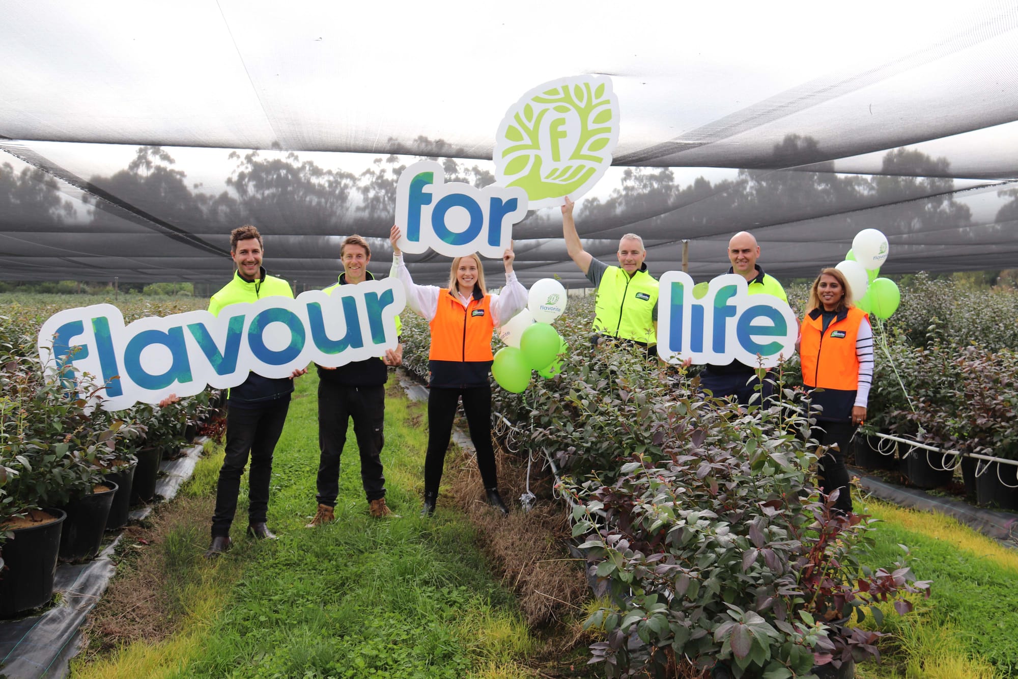 Flavorite Rebrand - 31.05.2022