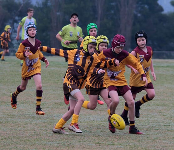 Football Juniors (U10's) Drouin Vs. Warranor - 19.06.2021