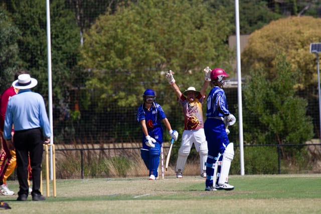 Cricket Div 2 Western Park Vs. Drouin - 19.02.2022