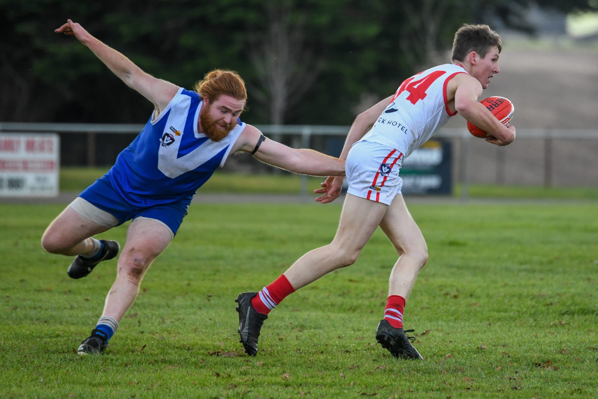 Kangaroos brush Blues aside at Thorpdale