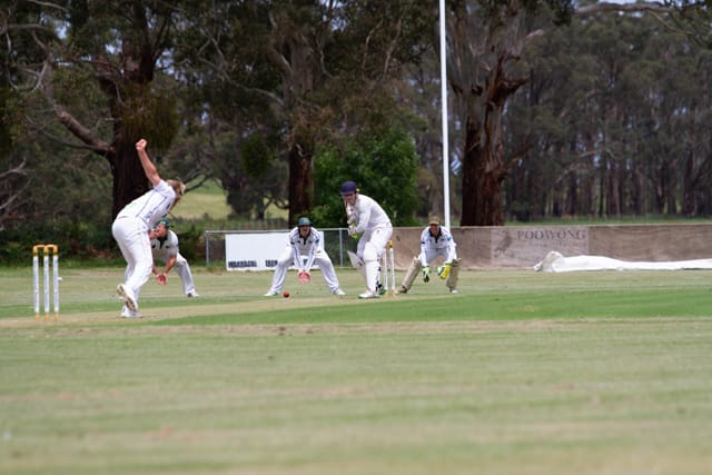 Cricket Div One Hallora v Neerim Dist - 06.11.2021