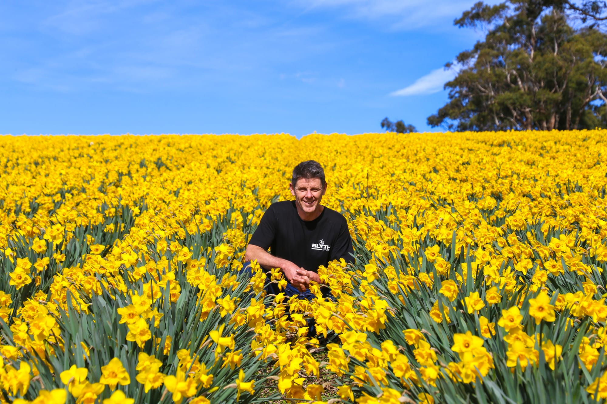 Out in the field of the family's Ellinbank flower farm is Nick Blyth.
