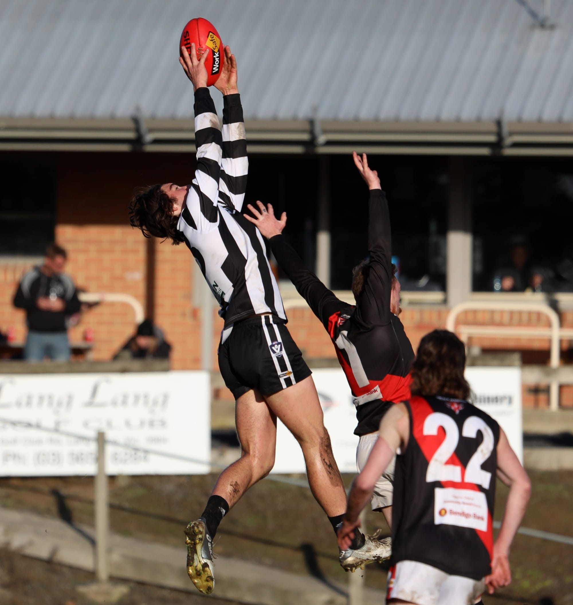 New nest for Jai Newcombe thanks to mid season draft