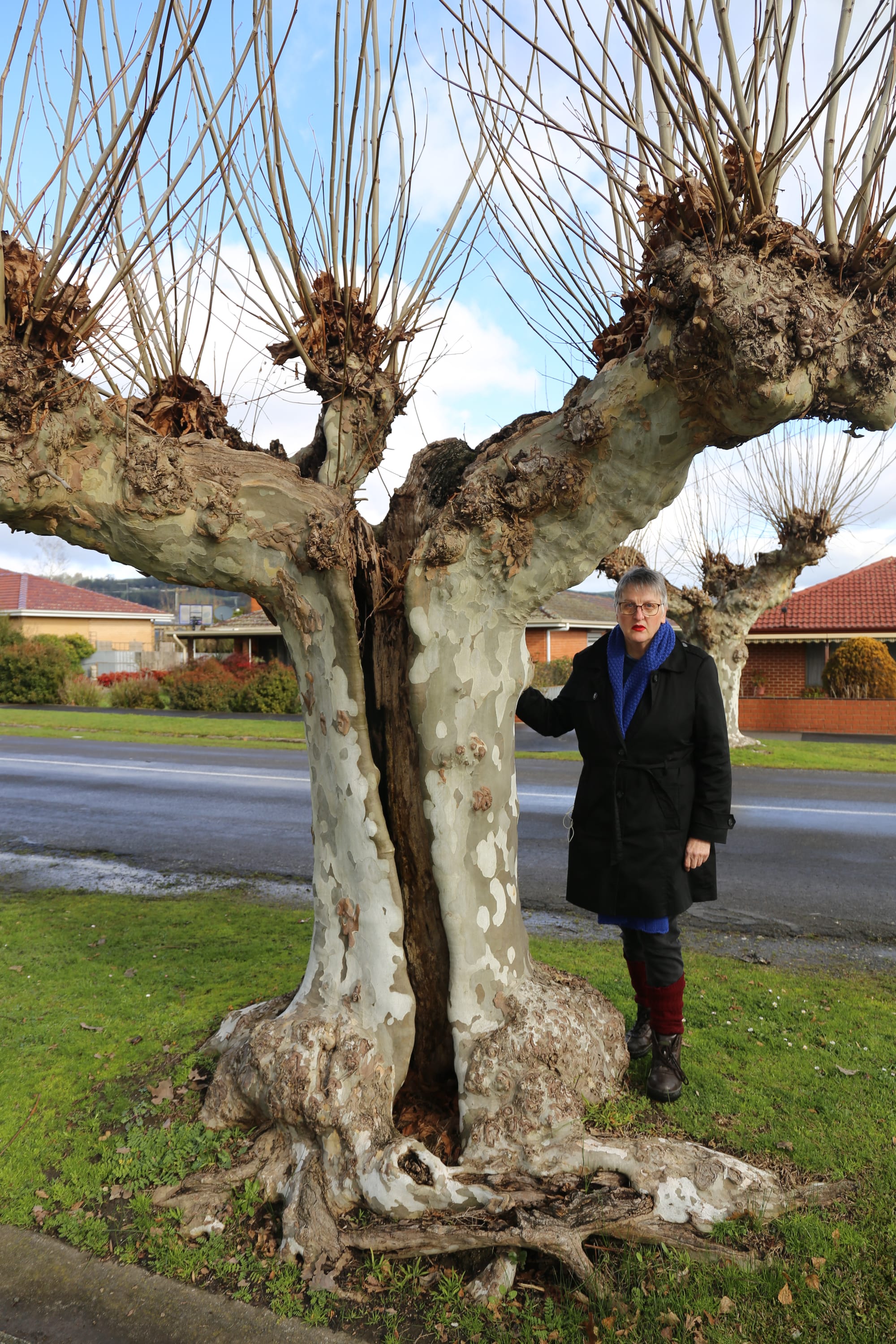 Action urged on Yarragon street