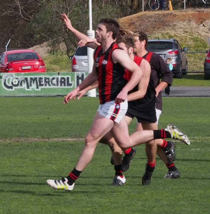 Fairy tale run to finals for Gulls