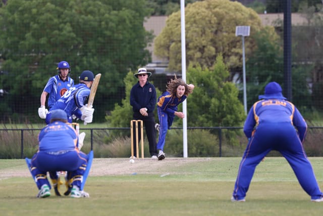 Cricket Div 1 Western Park v Ellinbank - 19112021