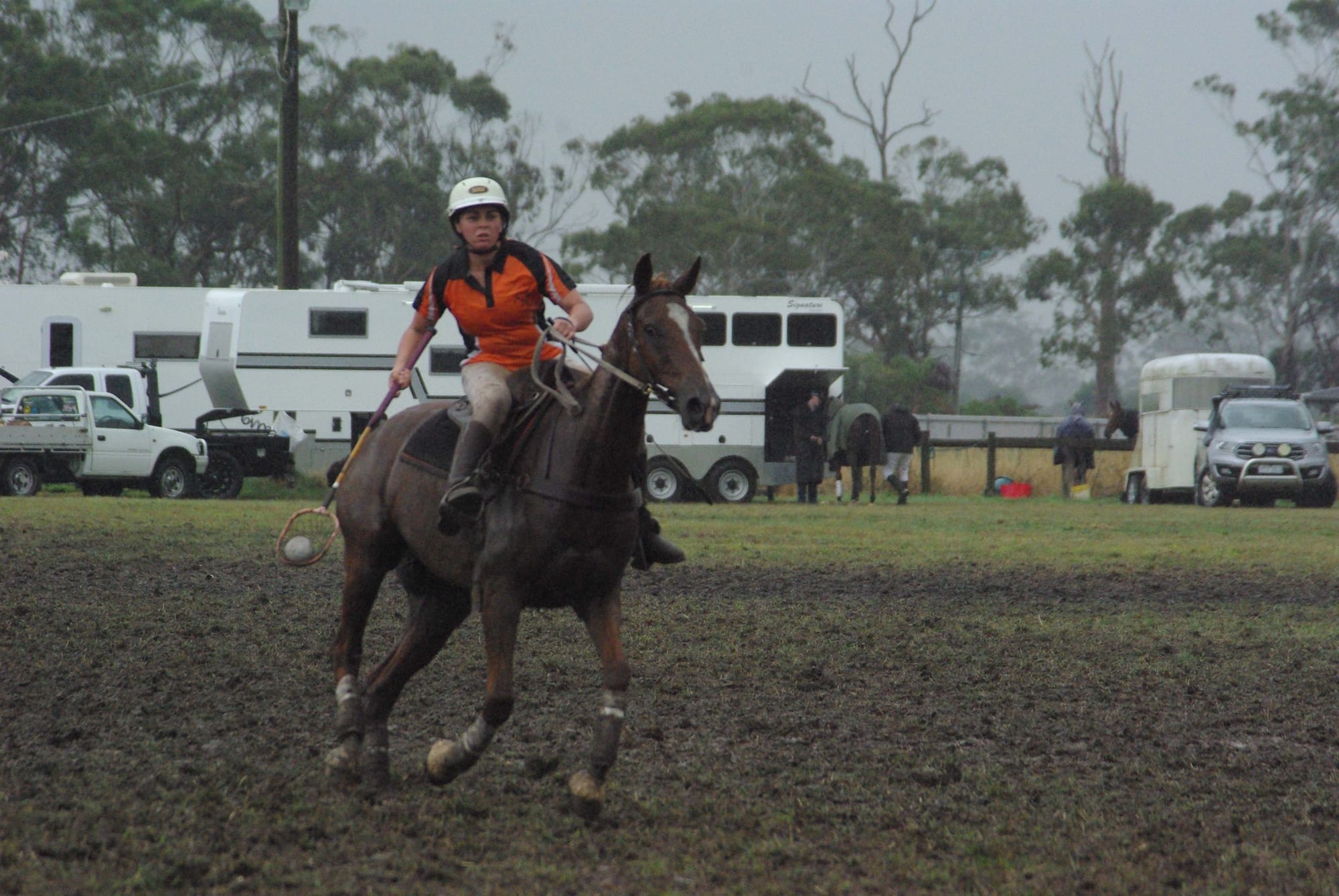 Traf Polox - 15.03.2022