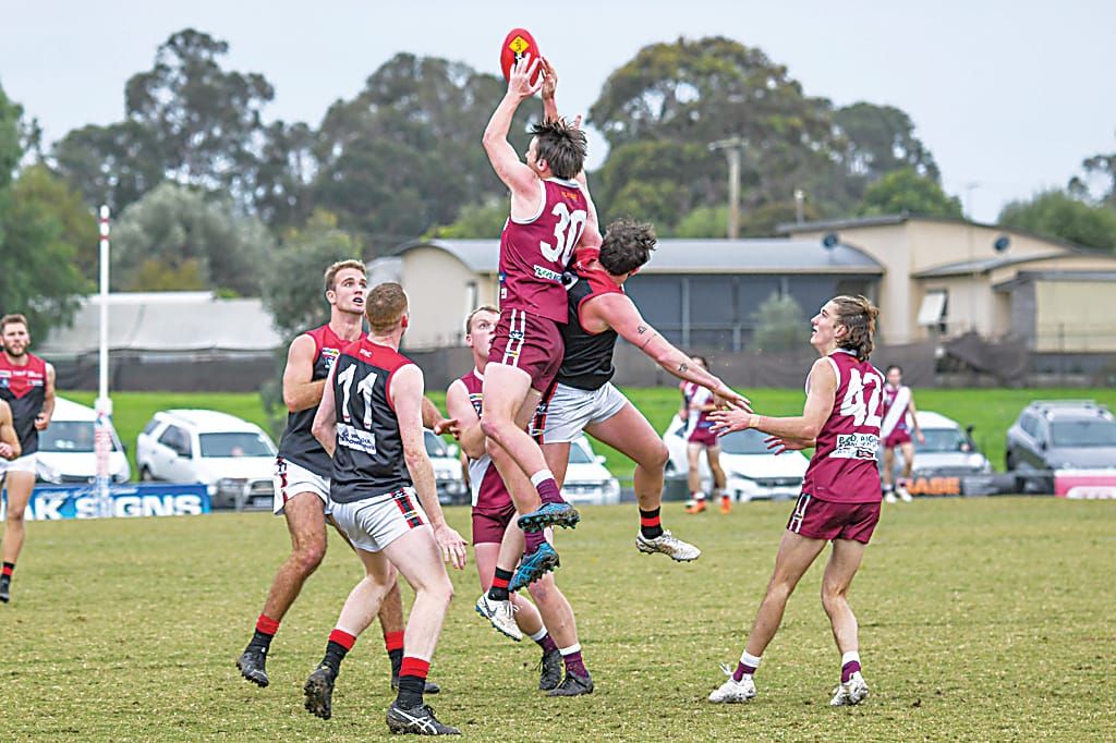 Lions lose first match