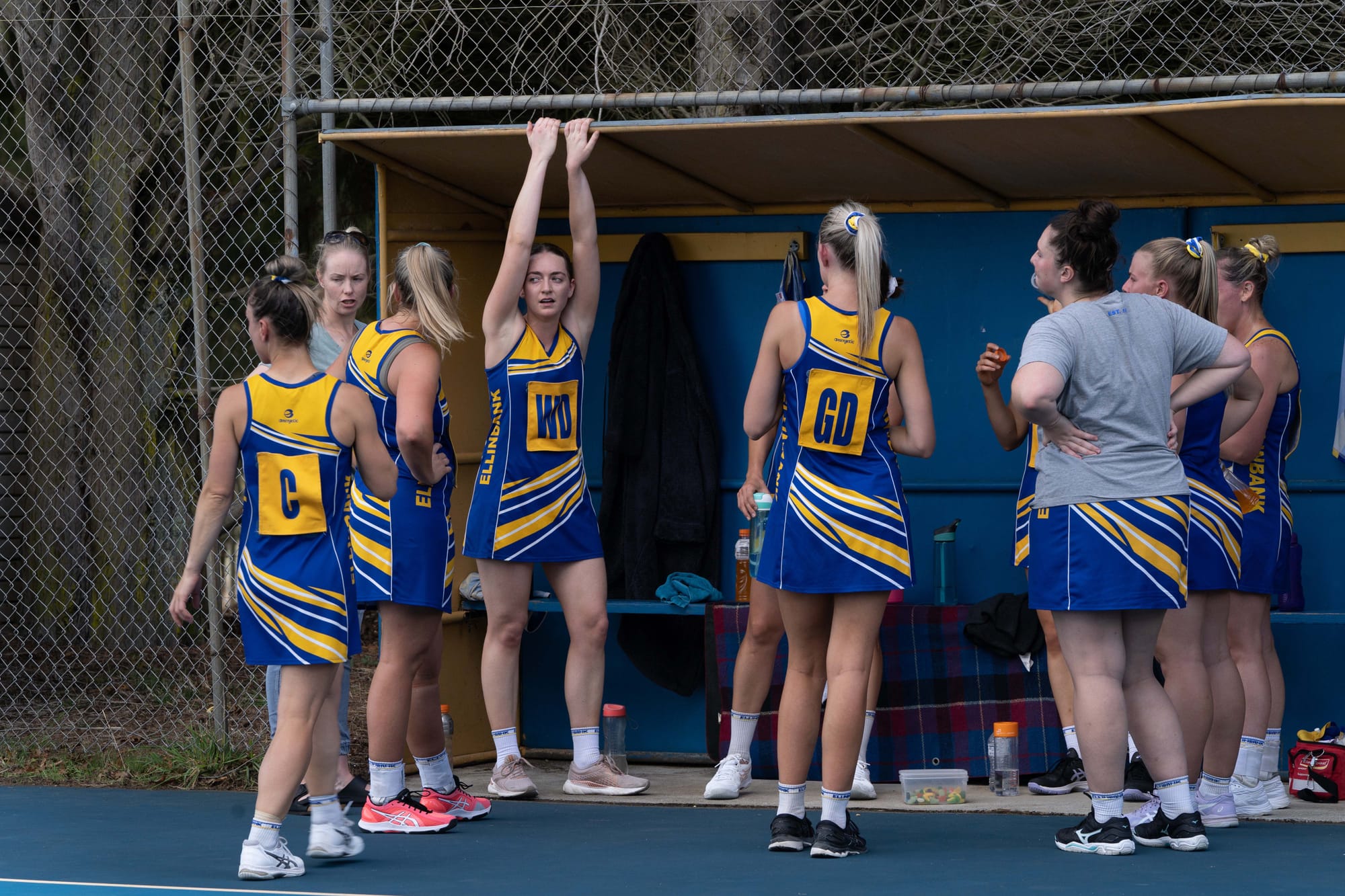 Netball EDFL