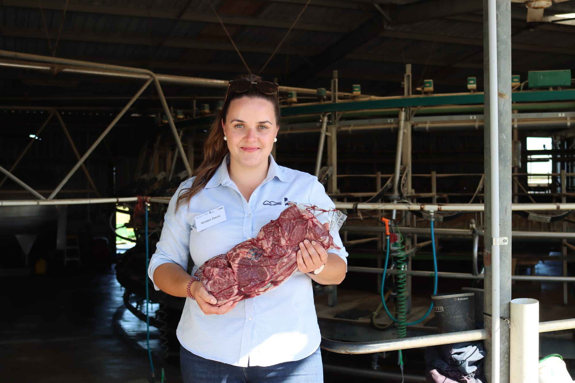 Growing connections at dairy beef field day