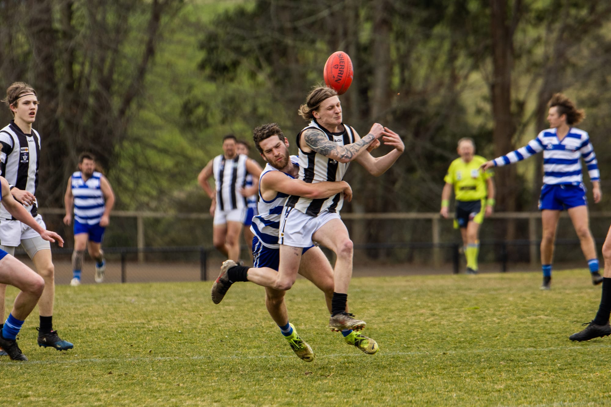 Will Pies end the Tiger dream in Ellinbank District footy?