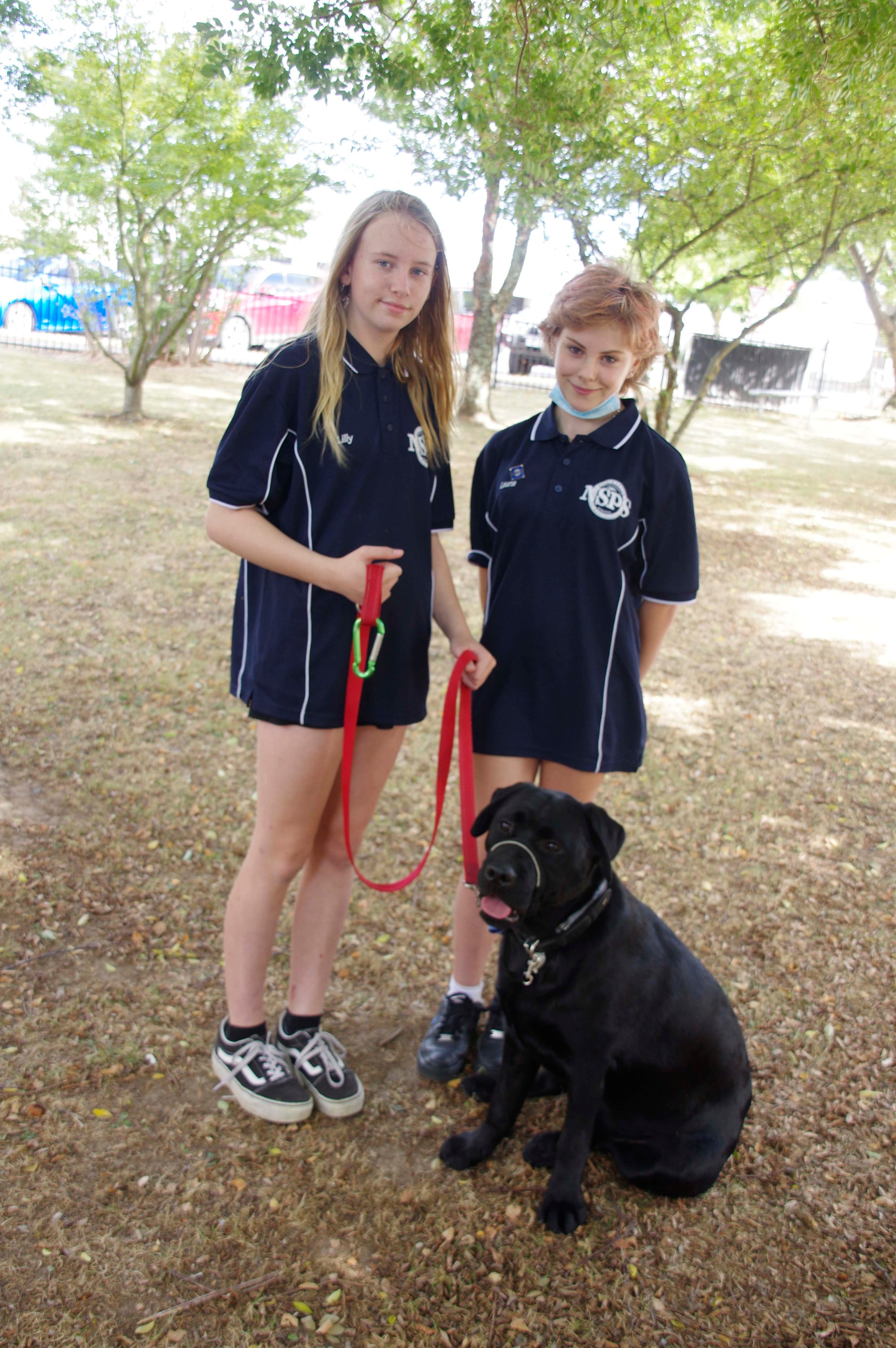 Therapy dog - 15.03.2022