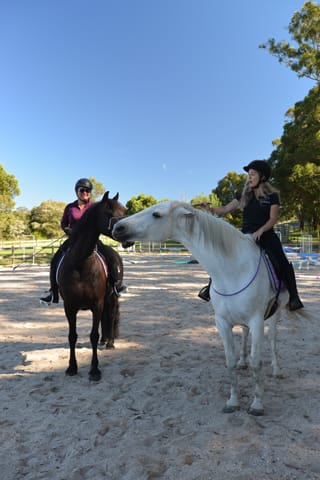 Bridleless Riders - 23.12.2021