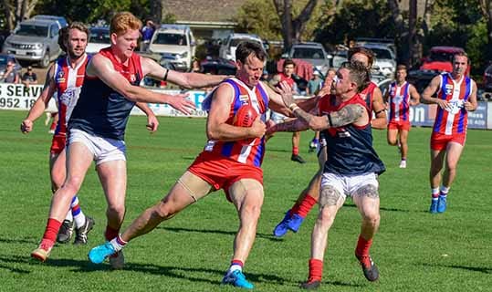 Bulldogs are benchmark