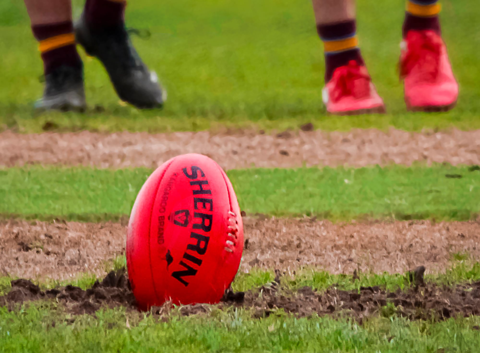 Cats deny Magpies with late charge