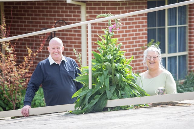 Isolation Grant - 07.10.2021 