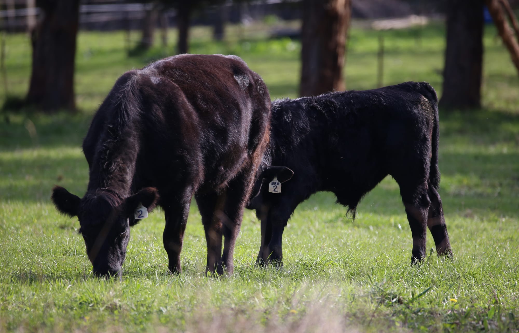 What to consider for stock containment areas