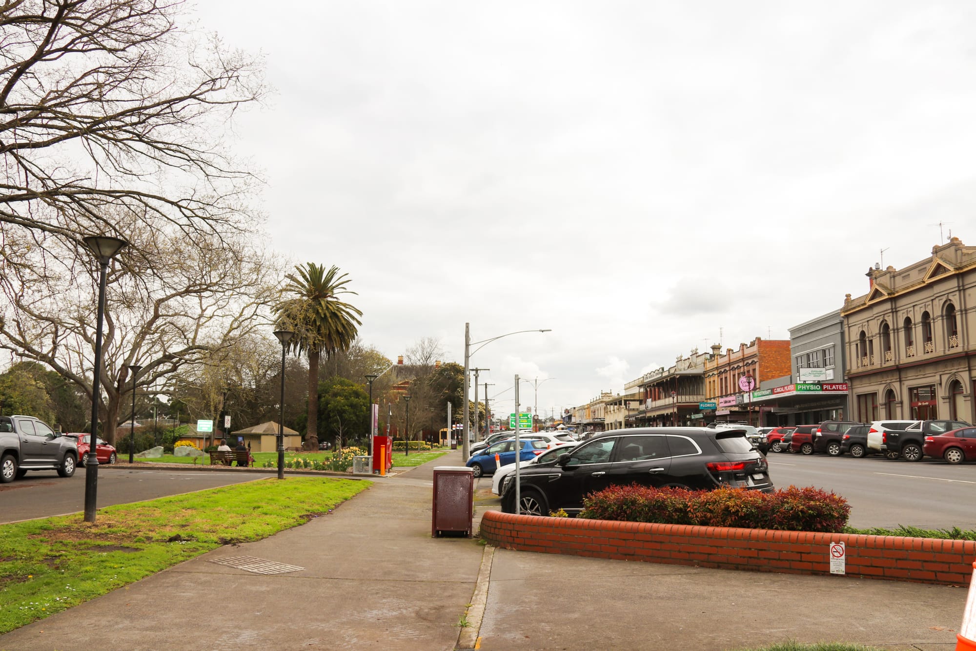 Trees absent from street
