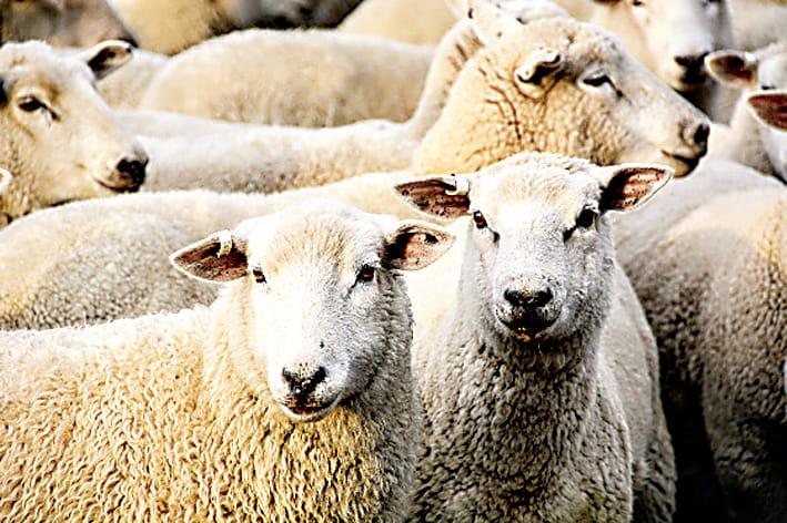 Avoid exposure losses