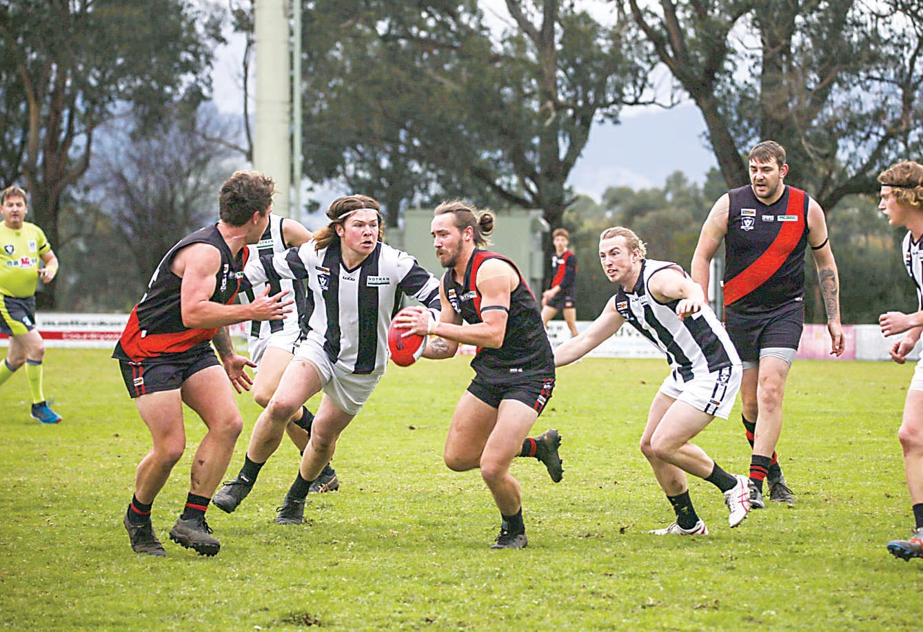 Magpies break from the pack