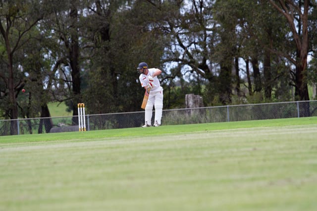 Cricket Div One Hallora v Neerim Dist - 06.11.2021
