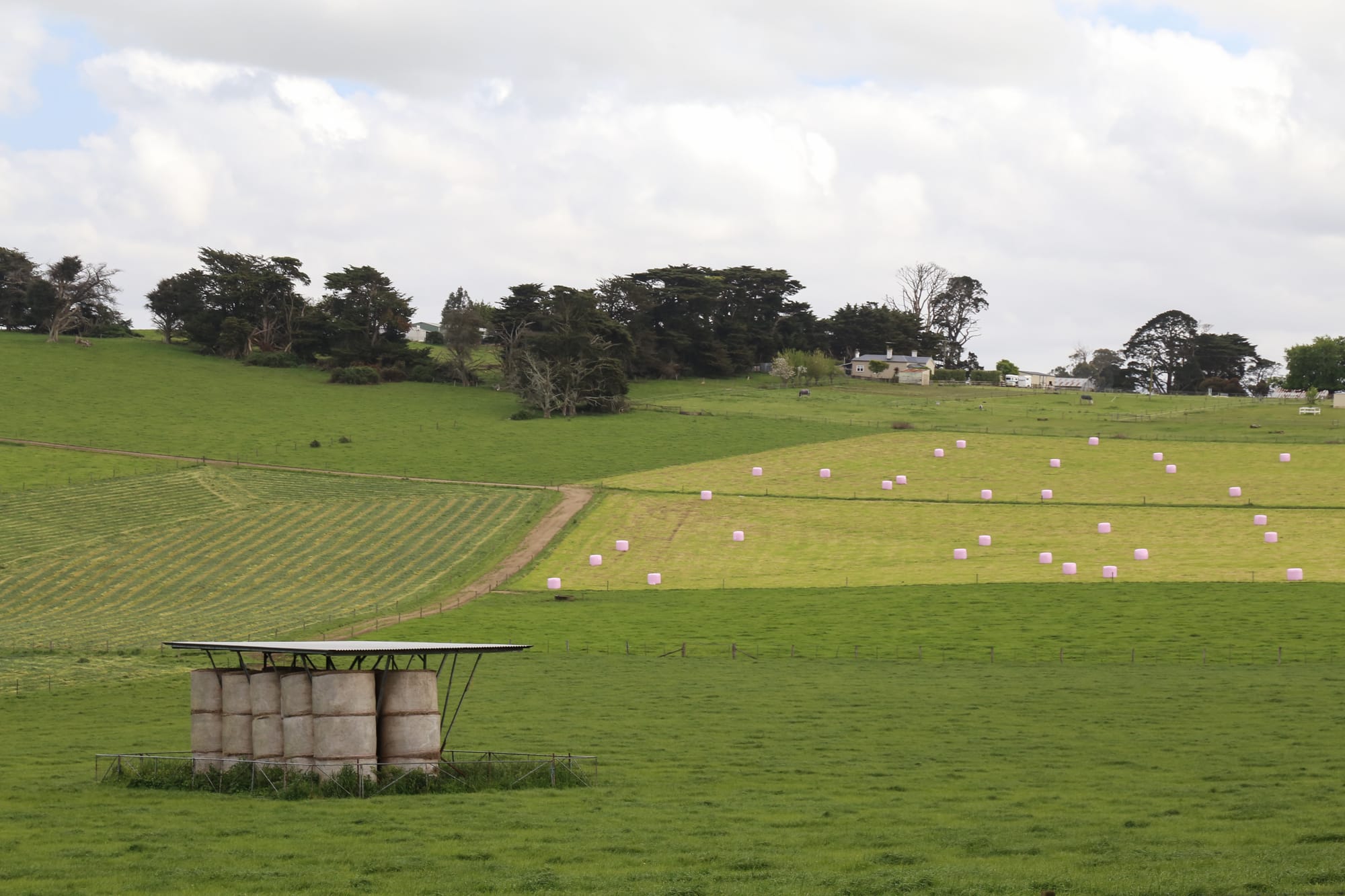 Call for governments to back on-farm renewables