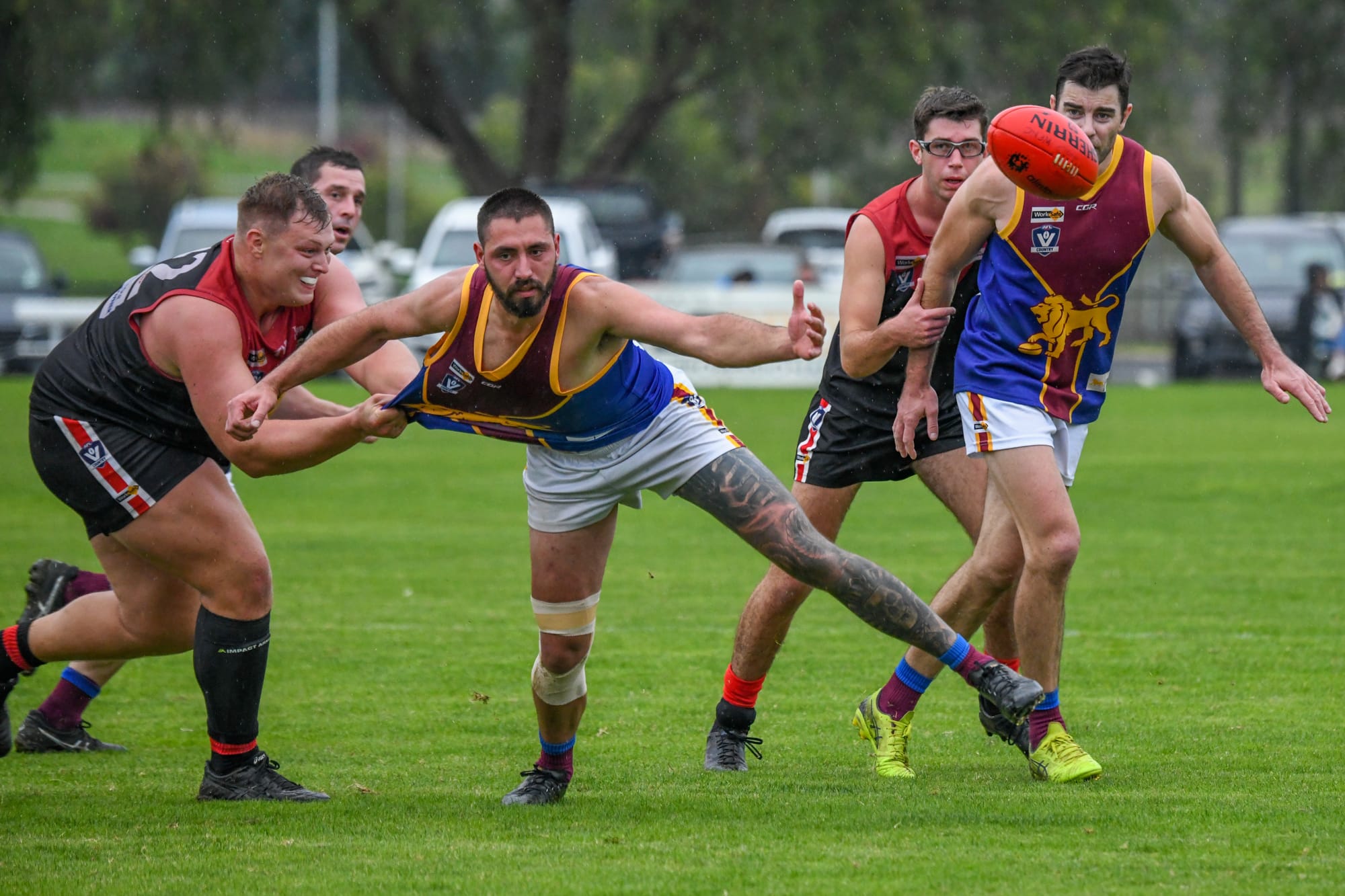 Lions officially in the premiership race