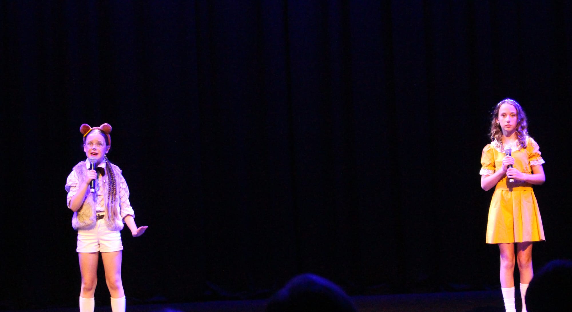 A fairytale mystery for WNPS