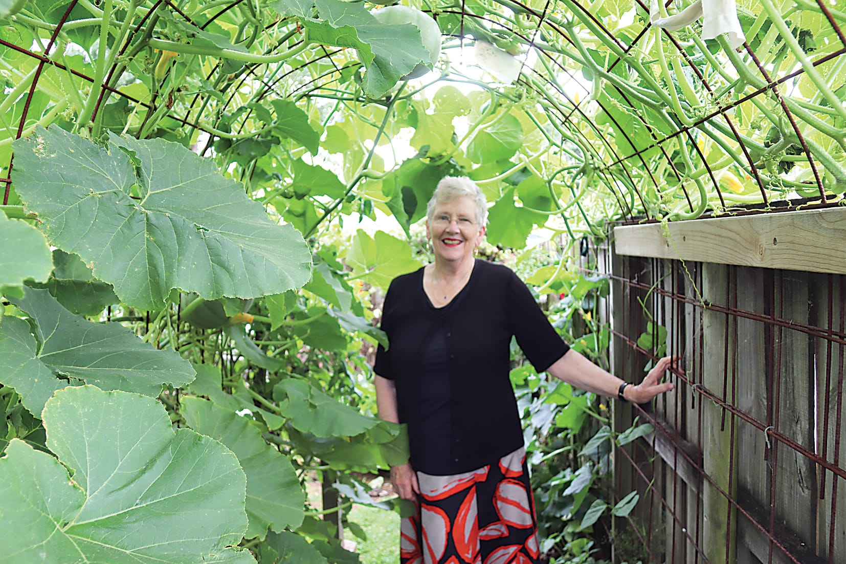 Creative Harvest showcases innovative gardens