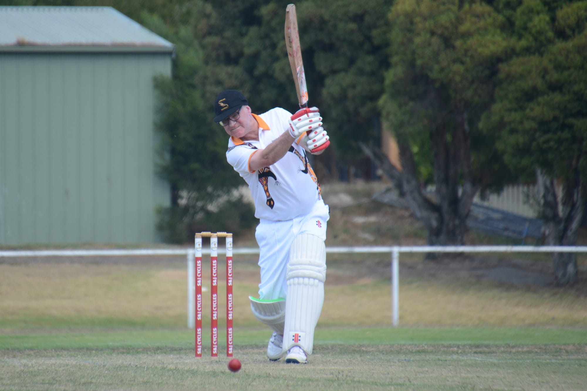 Mixed week for Goannas