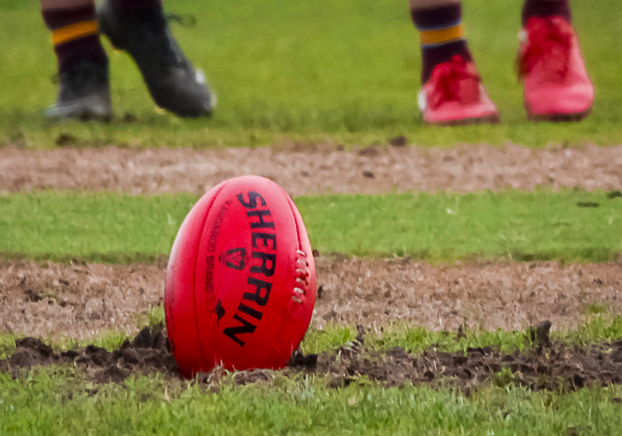 Bulldogs downed as new coach announced