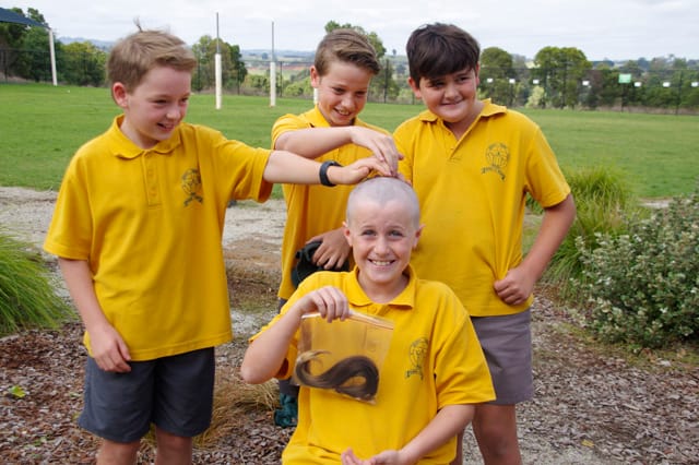 Raff Pyle headshave - 2021 