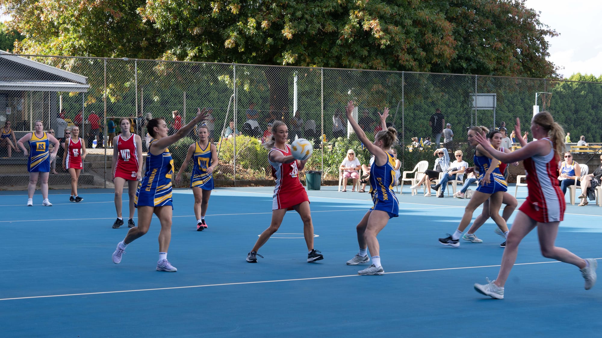 Netball EDFL