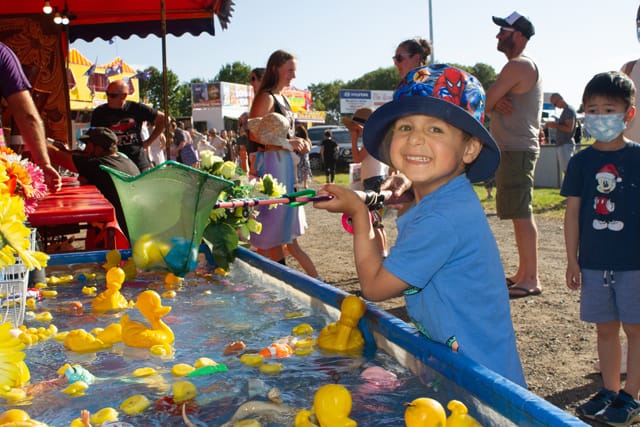 Ficifolia Festival - 19.02.2022