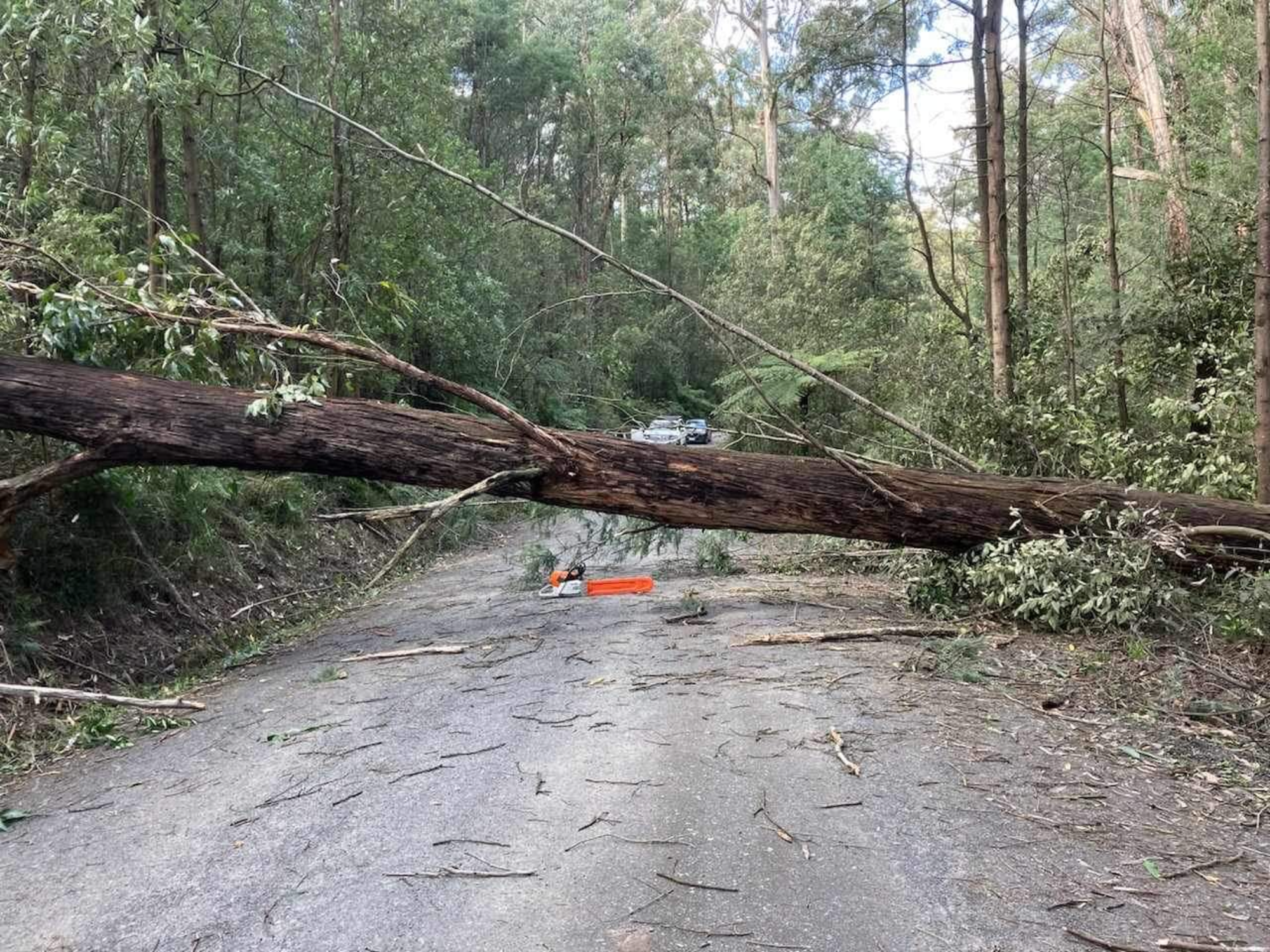 First signs last week