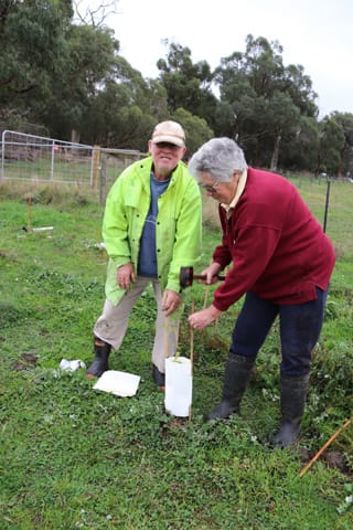 Tree Planting- 06.05.2021 
