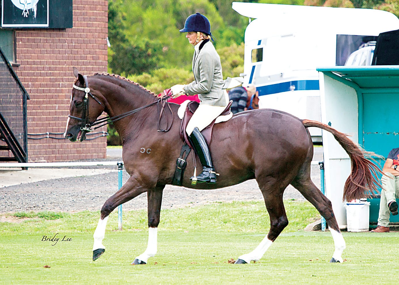 Cup day Hack challenge