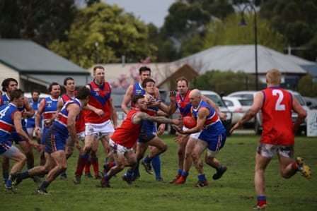 Convincing wins for Cora Lynn and Bunyip