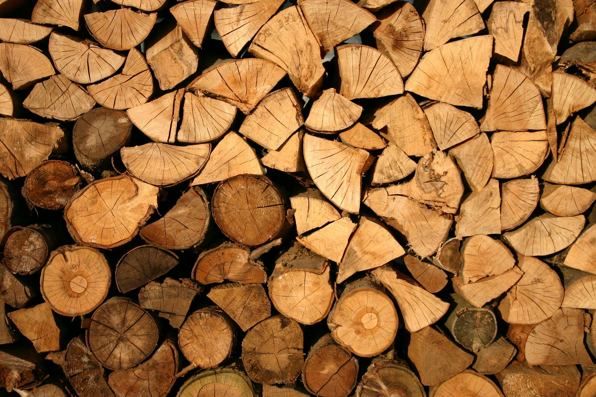 Spring firewood collection