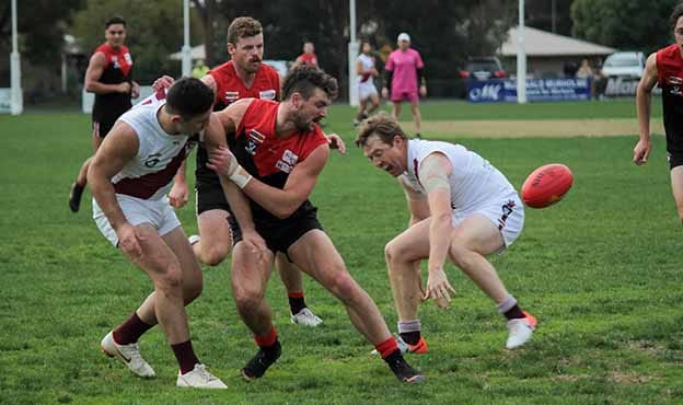 Gulls fall to Maroons