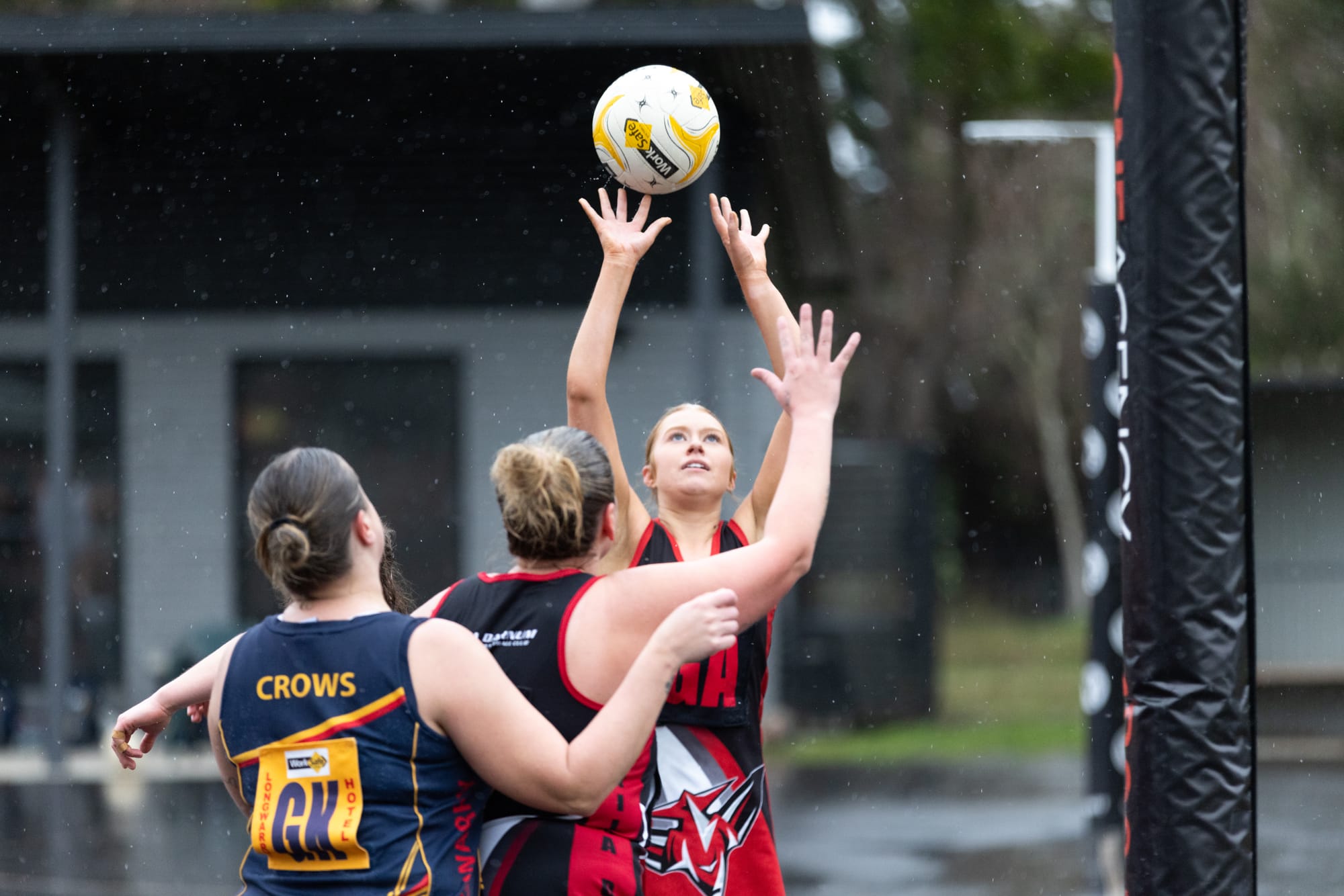 Eagles beat Lyrebirds