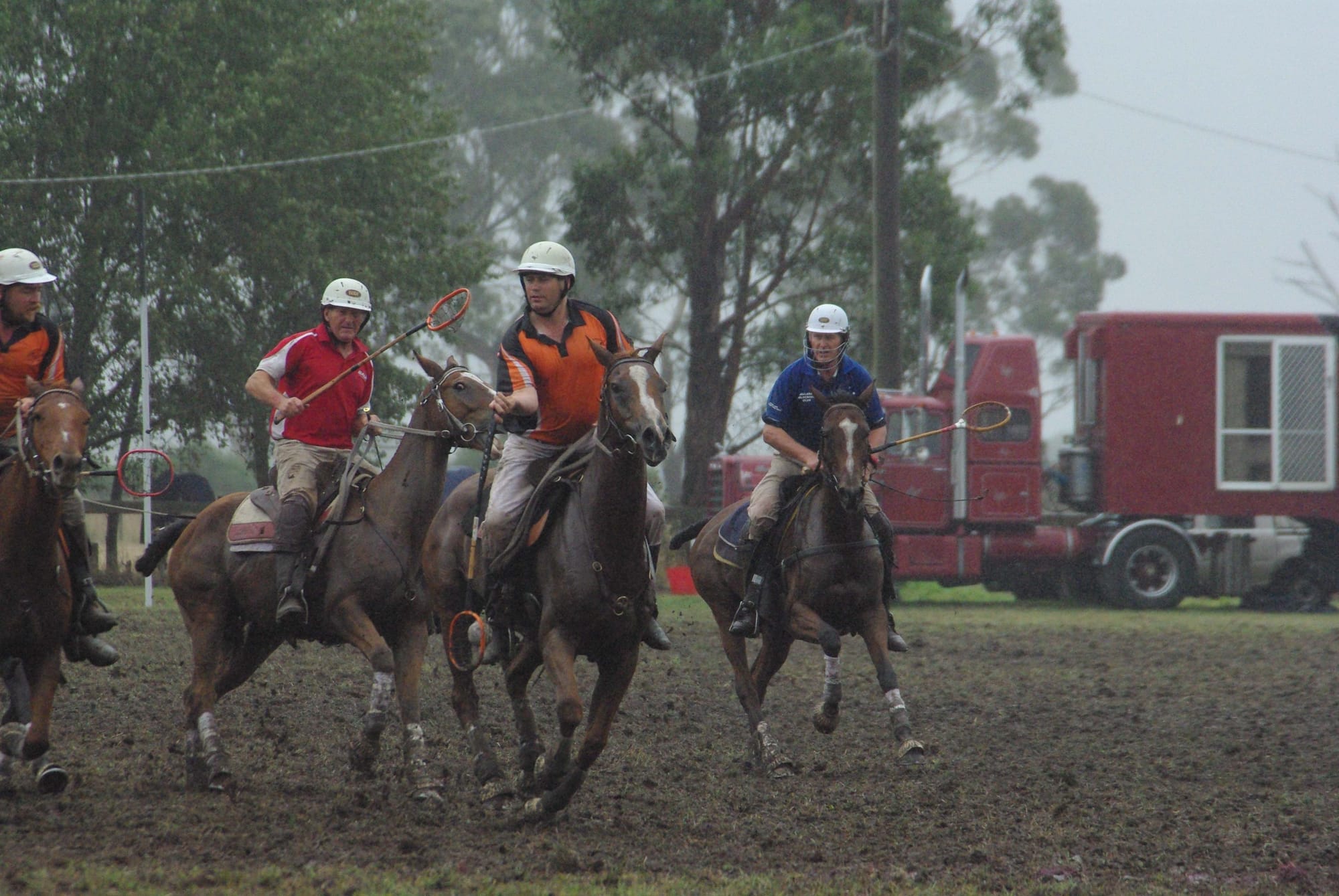 Traf Polox - 15.03.2022