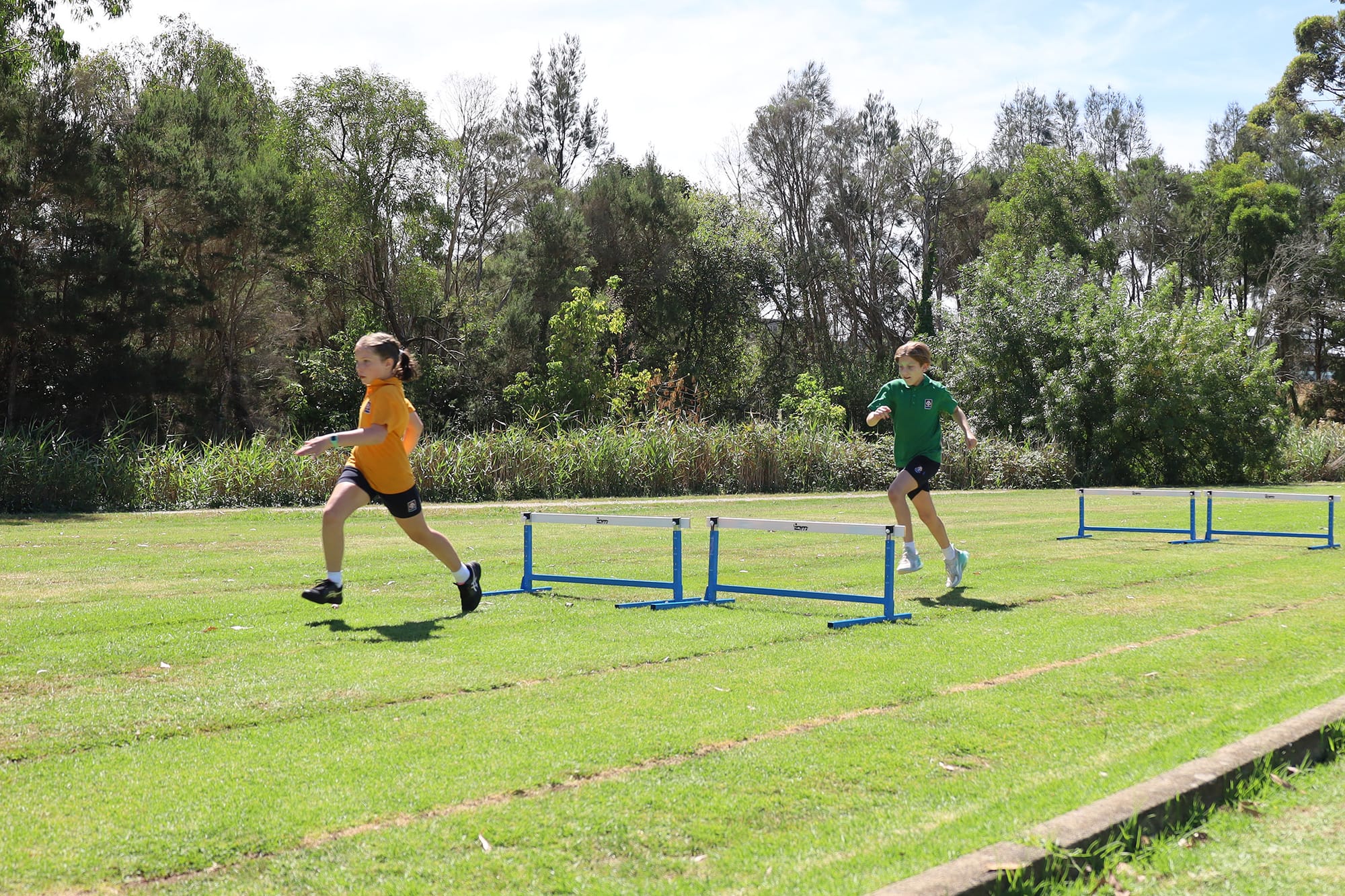 Friendly competition